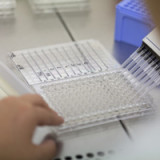 Cosmo sieht vor allem in Kolonoskopie Wachstumspotenzial