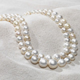 «Es könnte noch einen Run in Aktien geben»