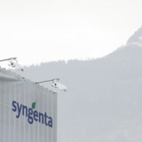 Weiterer Abgang im Syngenta-Management