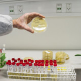 Adienne tritt aus dem Schatten