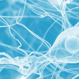 Newron reicht erneut Zulassungsantrag für Parkinson-Mittel ein