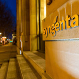 Syngenta: Für Aktionäre ist Abwarten angesagt