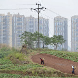 Unnötige Kritik am Elefanten-Modell