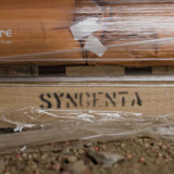 Syngenta-Übernahme ist auf Kurs