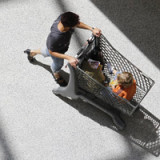 Schweizer Wirtschaft bleibt auf Erholungskurs