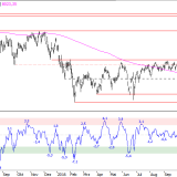 SMI: Kleine Bärenmarktrally