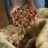 Barry Callebaut forciert Nachhaltigkeit