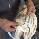 Conrad Peyer: Und am Schluss ein sanftes Streicheln