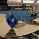 Precious Woods sieht Licht am Tunnelende