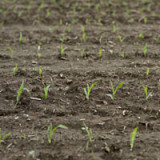 Schweiz zieht Zügel bei Übernahmen von heimischen Unternehmen an