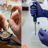 Die Spaltung der Exportindustrie