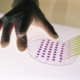 Schweizer ADC Therapeutics will an die New Yorker Börse