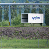 Syngenta-IPO könnte 10 Mrd. $ schwer werden