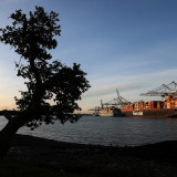 Gewinn von Hapag-Lloyd bricht ein