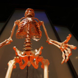 FDA gibt Kuros grünes Licht für MagnetOs