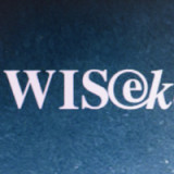 Wisekey verringert Verlust deutlich