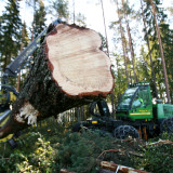 Hot Corner: Potenzial dank Transformation