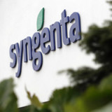 ChemChina treibt Börsenpläne für Syngenta voran