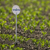 ChemChina hält mehr als 92% der Syngenta-Aktien