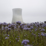 «Das System wird unsicherer»