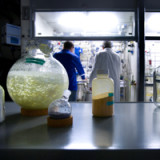 Fusionsfieber erreicht Europa