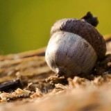 Small Caps vs. Large Caps: Bewertungen im Vergleich