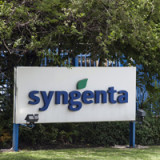Syngenta profitiert vom Klimawandel