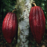 Rohstoffpreise schwächeln