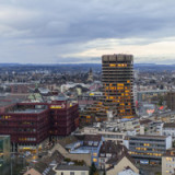 BIZ sieht Chancen für schärfere Regeln