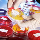 Wie Anleger erfolgreich in Biotech investieren