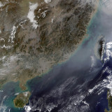 Grüne Anlagen sind mehr als bloss ein Modetrend