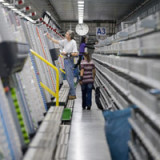 Apothekenhändler für jeden Geschmack