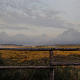 Draghi sieht EZB noch nicht am Ziel