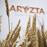 Aryzta findet neuen Finanzchef