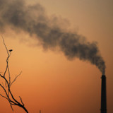 Weltwirtschaft läuft auch ohne US-Stimulus