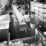 Wie Geberit zum Liebling an der Börse wurde