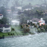 Cat Bonds trotzen dem Sturm