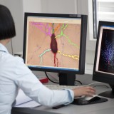 Molecular Partners entwickelt sich planmässig