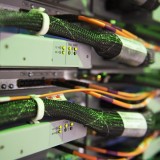Die Blackbox des menschlichen Gehirns