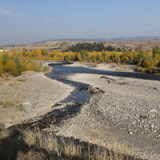 Notenbanken starten die Entwöhnungskur