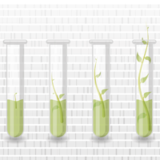 Biotech ist wieder in