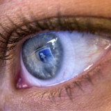 Im Griff der Webkraken