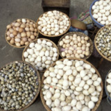 Diversifikation zahlt sich wieder aus