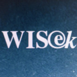 Wisekey schreibt schwarze Zahlen