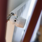 Zehnder Group gelobt Besserung