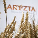 Aryzta verkauft Nordamerika-Geschäft