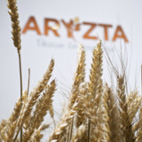 Aryzta verkauft US-Problemtochter