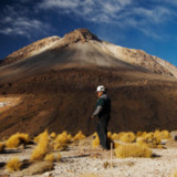 Glencore verwöhnt die Aktionäre