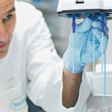 Roches starker Jahresanfang verblasst