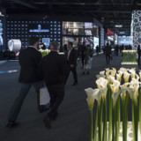 Richemont kauft weiterhin Uhren zurück